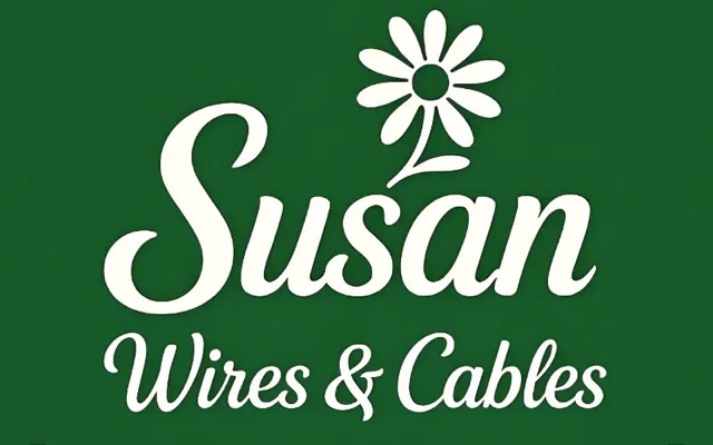 Susan Electricals India