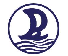 Billion Group Holdings Limited