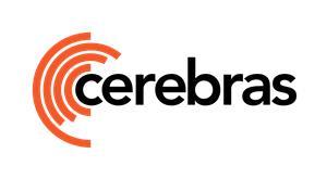 Cerebras Systems Inc.