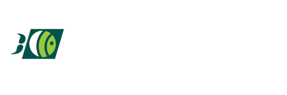 Silentium Ltd.
