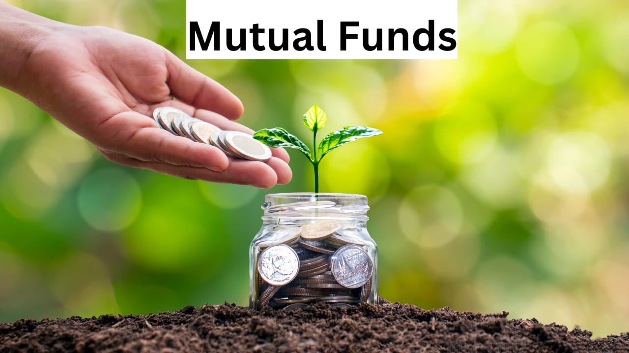 Investors Weigh Pros and Cons of Focused Mutual Funds Amid Market Volatility
