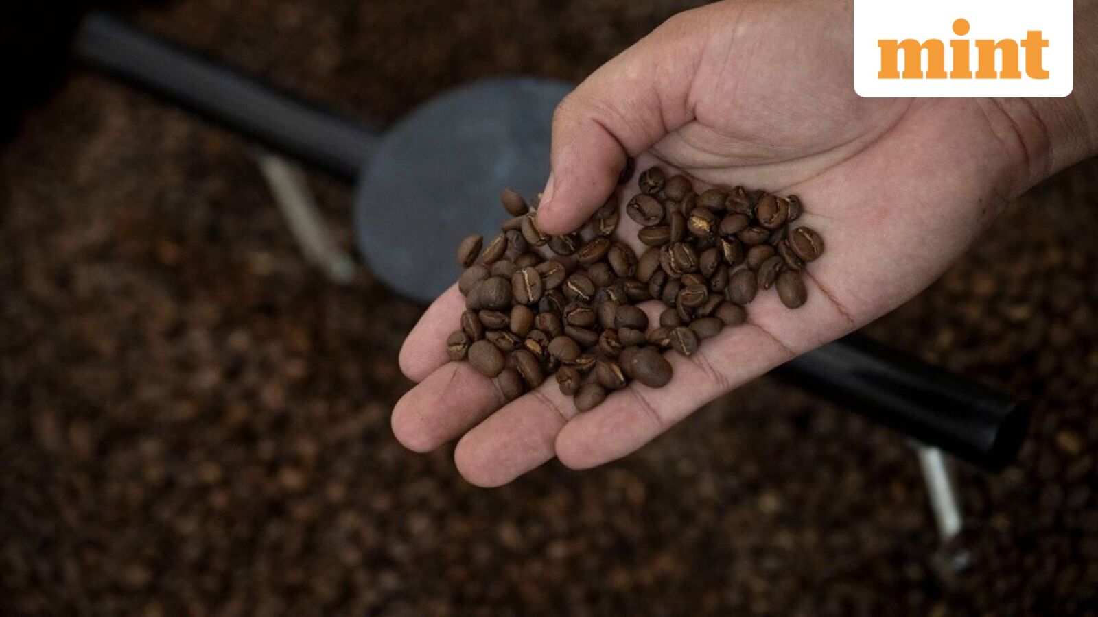 FSSAI Mandates Clear Labeling of Chicory Content on Coffee Packaging from July 1