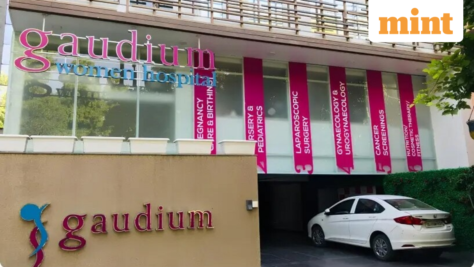 Gaudium IVF IPO Allotment Expected to be Announced on Friday