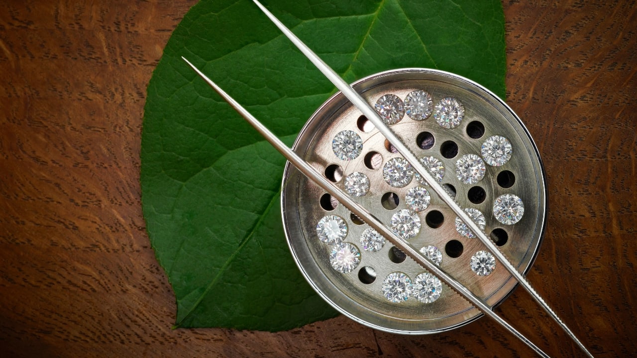 PNGS Reva Diamond Jewellery IPO Reaches Full Subscription on Final Bidding Day