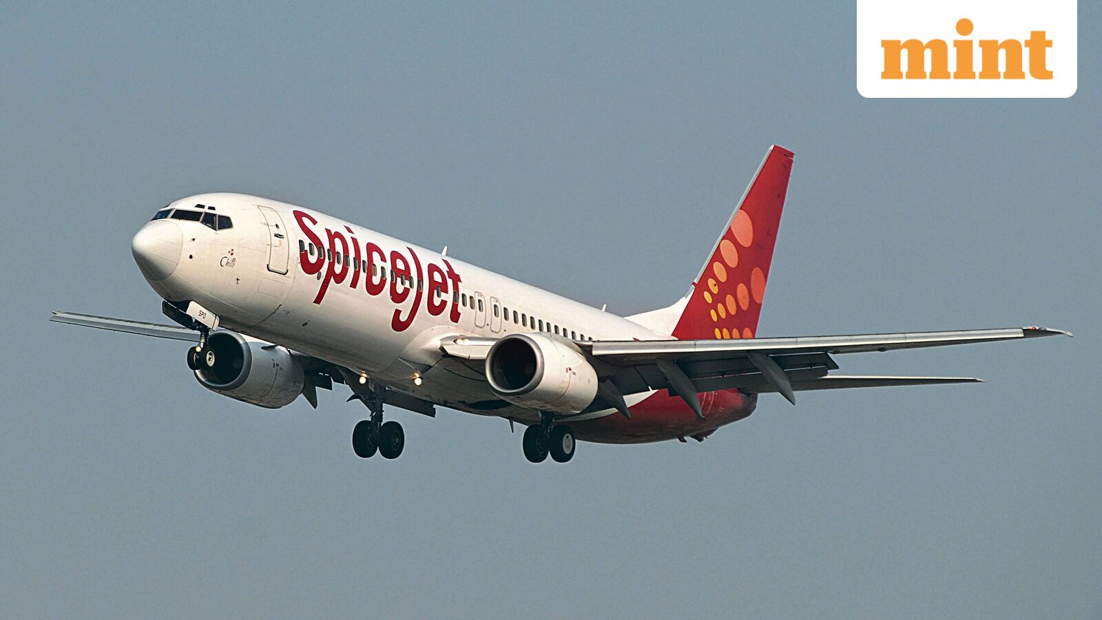 SpiceJet Shares Experience 8% Price Rally; Key Factors Behind the Surge