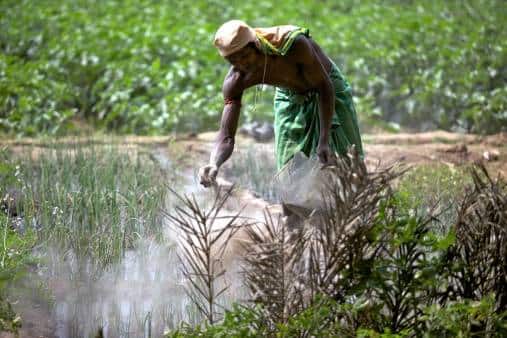 Tensions in the Middle East Raise Concerns Over Global Fertiliser Supply Chain Stability