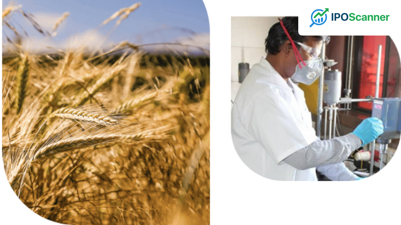 GSP Crop Science IPO Update: Issue Sees 96% Subscription on Third Day