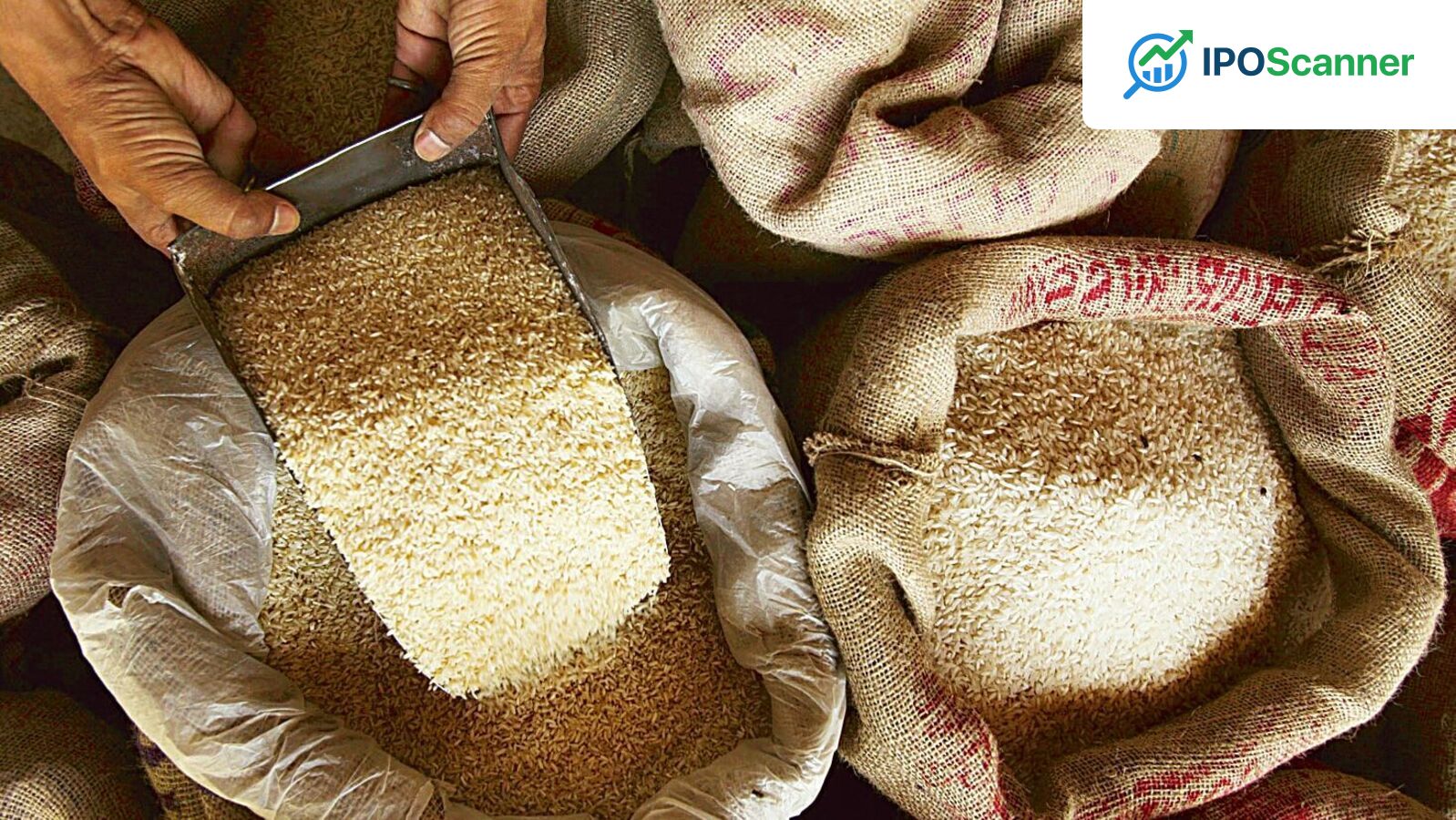 Amir Chand Jagdish Kumar IPO: Key Details and Insights Ahead of the Offer Launch on Tuesday.
