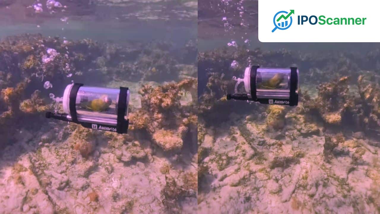Parakeet Captures Attention in Unconventional Underwater Submarine Adventure in the Bahamas
