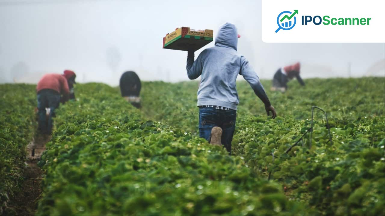 Tech Industry Veteran Trades High-Tech Life for Farming, Finds Fulfillment but Experiences Financial Challenges.