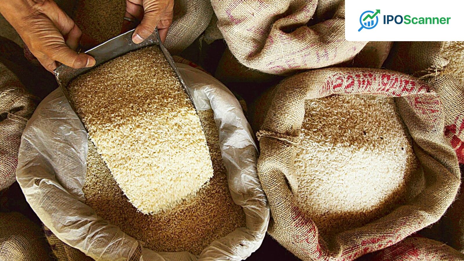 LT Foods Navigates Tariff-Related Challenges: Signs of Recovery?