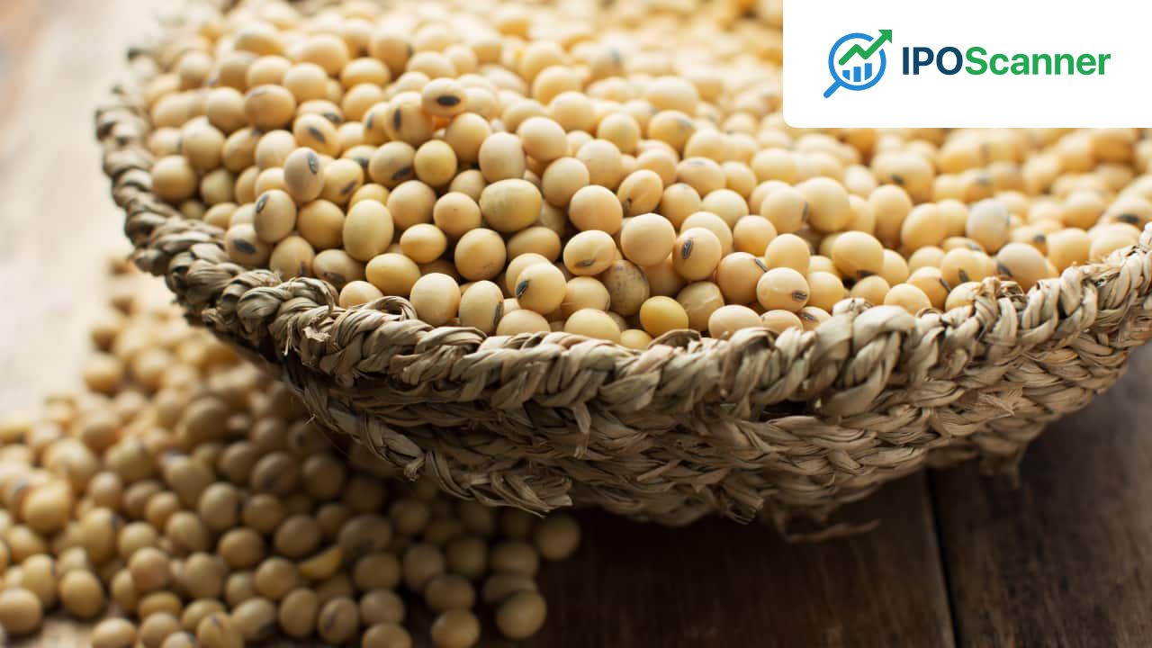 West Asia Conflict Weighs on India's Soybean Meal Exports, with a 63% Decline