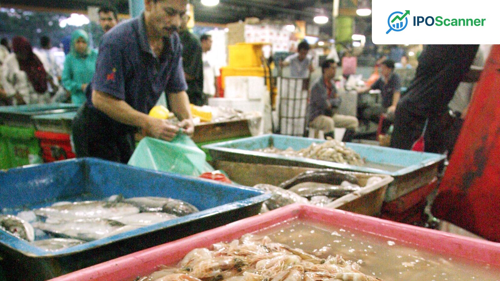 Apex Frozen Foods, Avanti Feeds Shares Surge 15% Amid Market Volatility, What Drives the Increase.