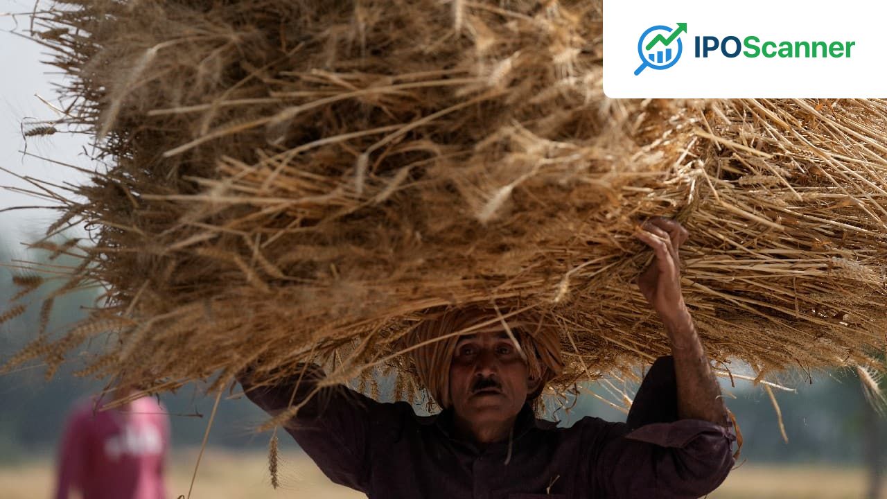 Centre Eases Wheat Procurement Rules for Punjab Amid Rain-Related Crop Damage