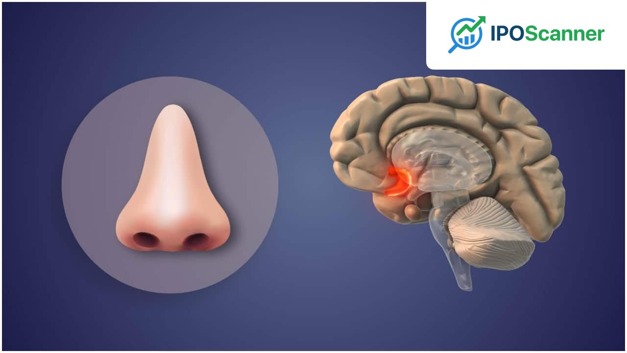 The Human Nose: Unraveling the Complexity of Odor Detection