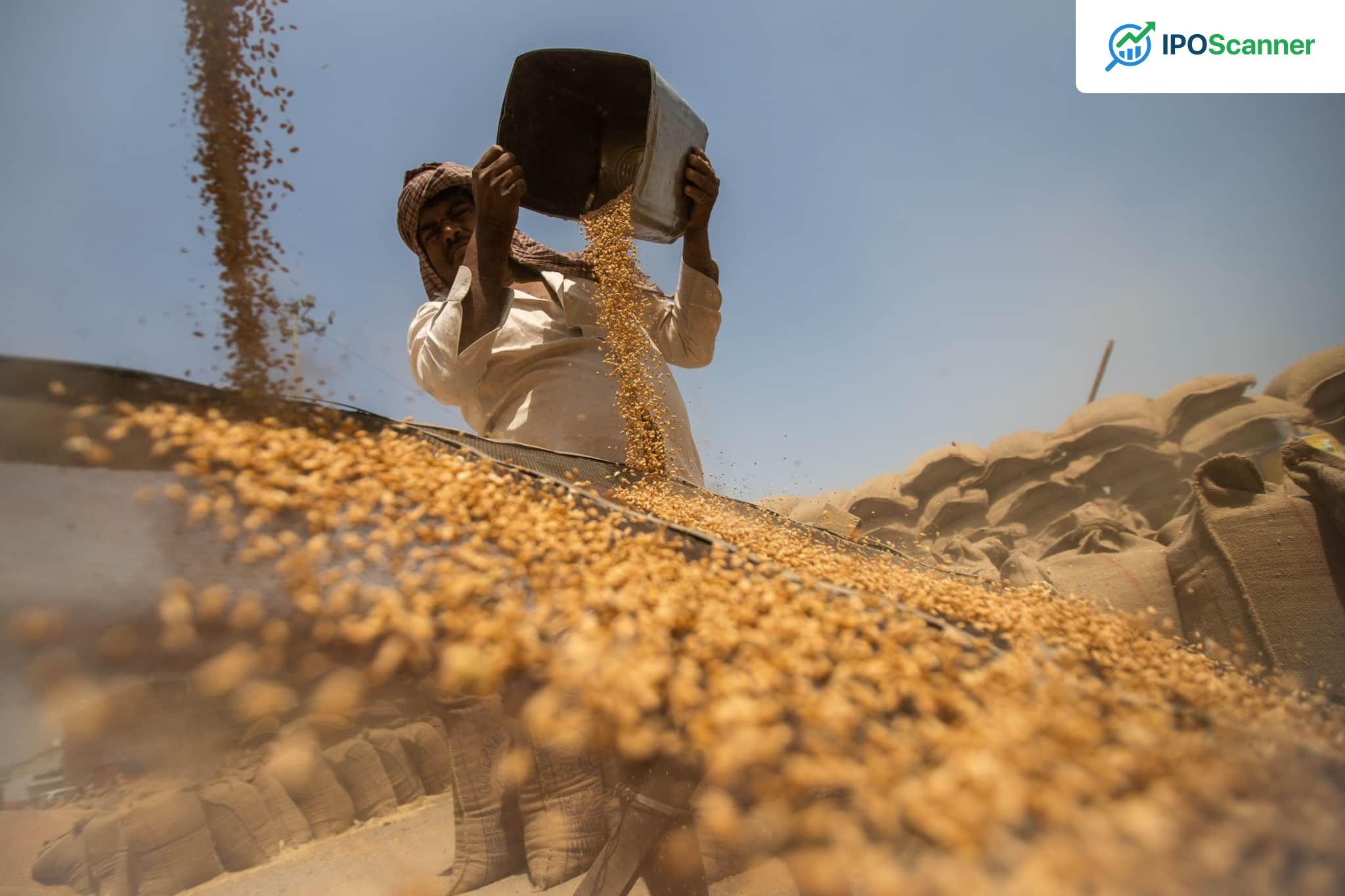 India Resumes Wheat Exports After Four-Year Lull as Global Buyers Assess Market Prices