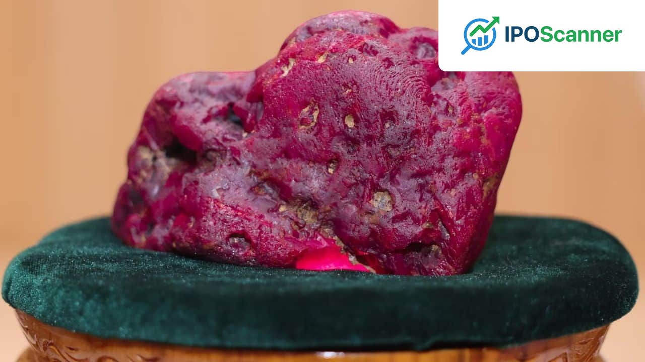 Massive 11,000-Carat Ruby Discovery Stirs Industry Awe in Myanmar