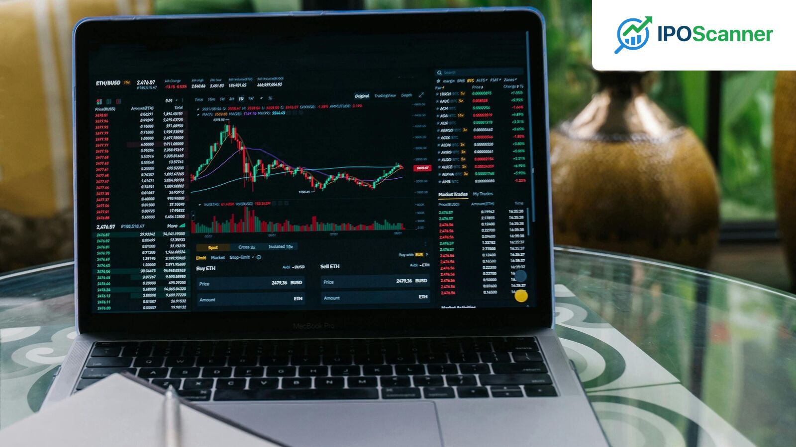 Nifty 50 Index Plunges Below 24,000, Raises Concerns of Further Decline
