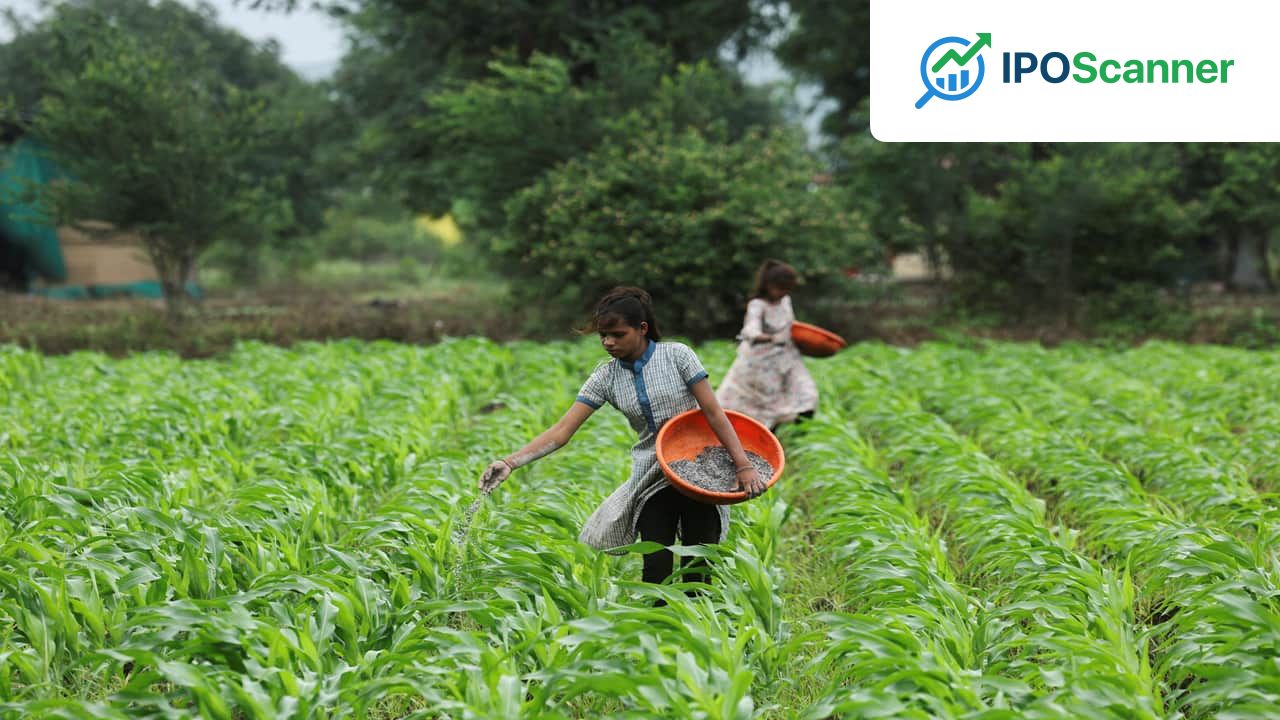 Finance Ministry Approves Increased Fertiliser Subsidy, Establishes Buffer Stock Amid Global Market Uncertainty