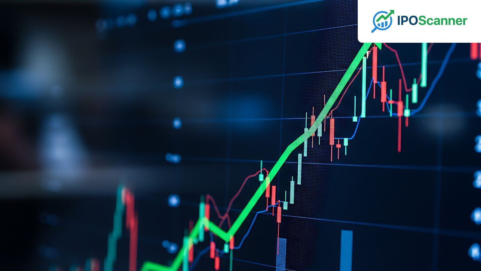 Individual Investors Shift Focus Toward Large-Cap Market Leaders