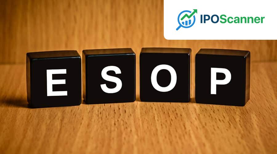 Delays in Initial Public Offerings Pose Risks for Leveraged Employee Stock Ownership Plan Participants