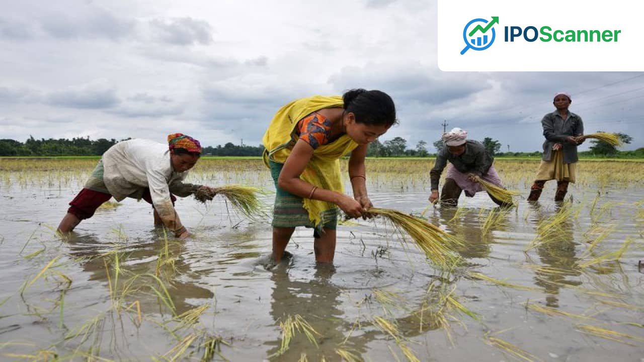Global Rice Production Projected to Decline for First Time in a Decade