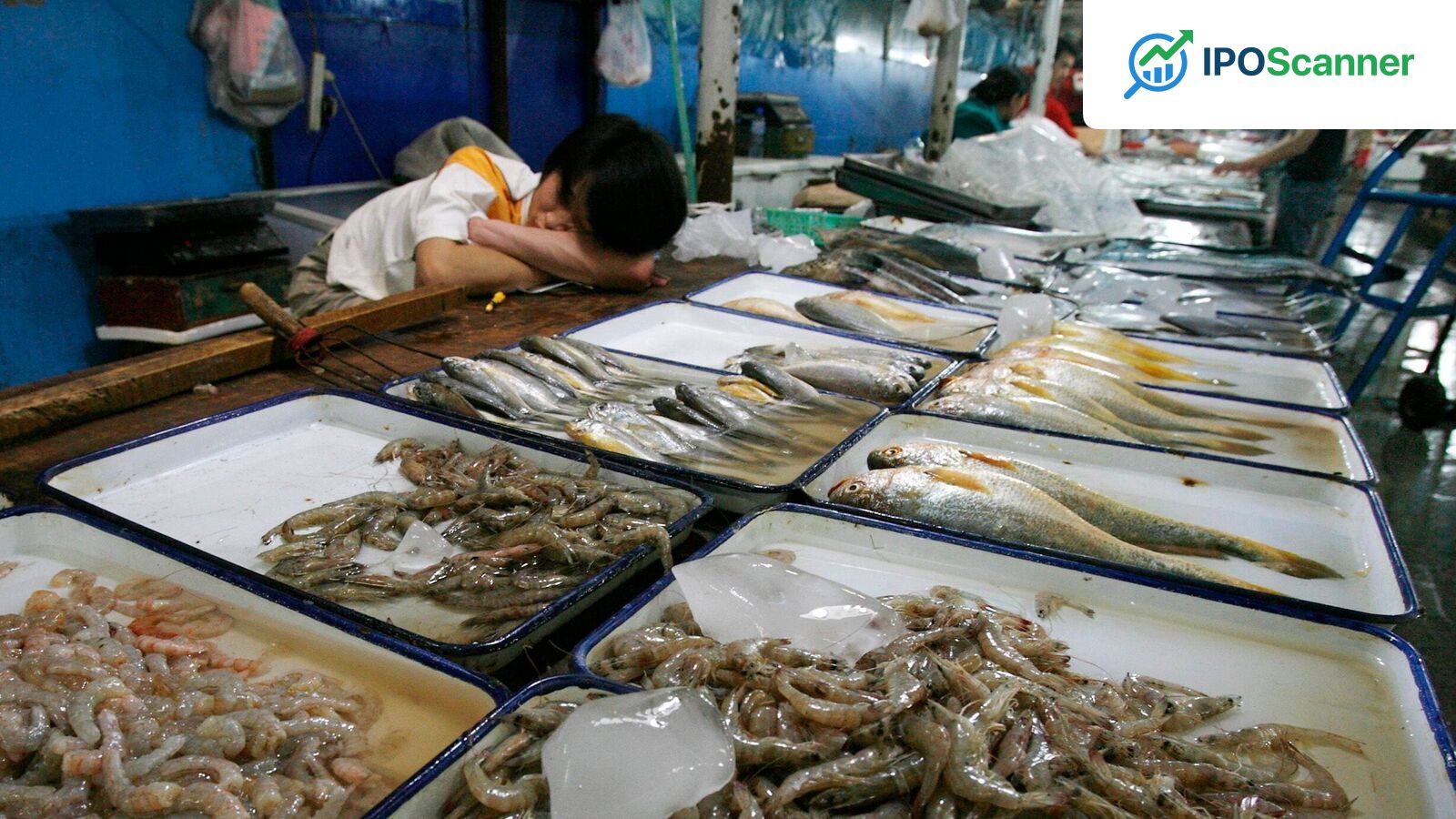 Seafood Stocks Surge Amid Shifts in Global Trade Routes Through Strait of Hormuz