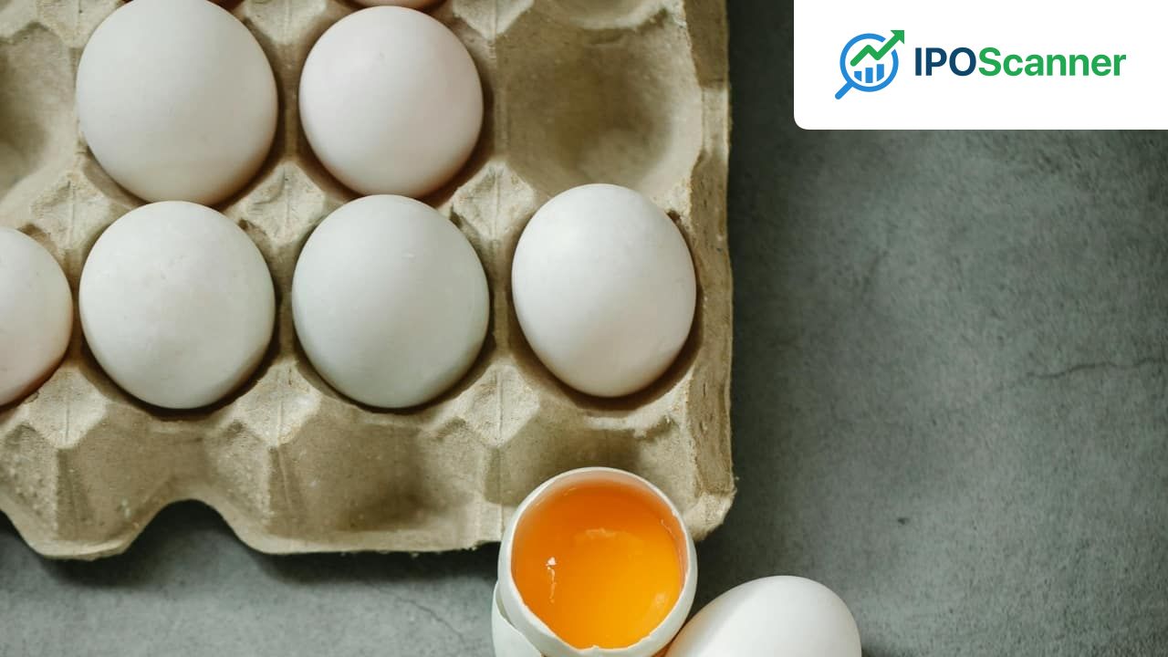 West Asia Crisis Disrupts India's Egg Export Market Amid Sharp Decline in Gulf Shipments