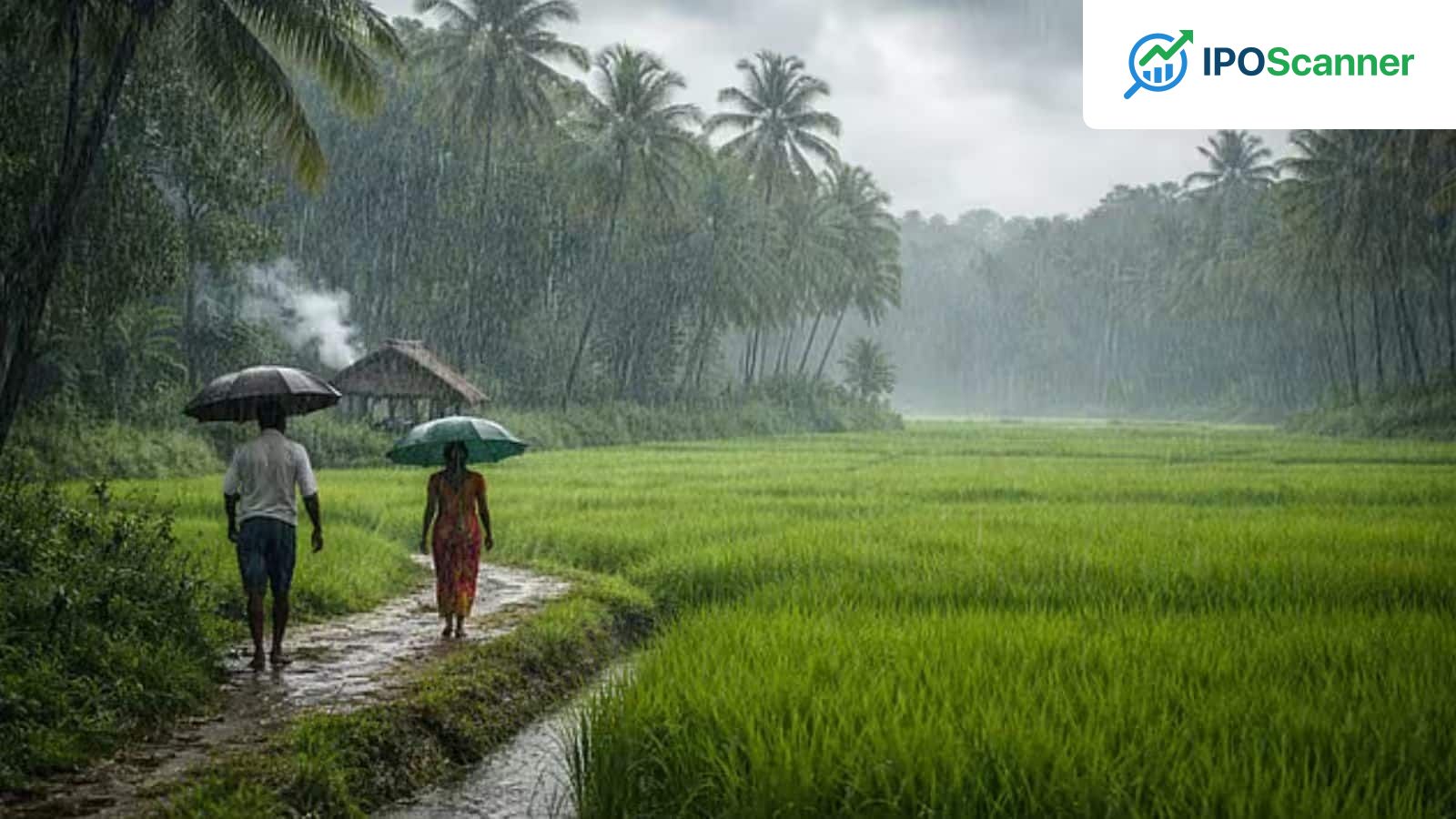 Southwest Monsoon Expected to Reach Kerala in 2-3 Days: India Meteorological Department